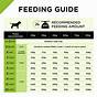 Hill's Science Diet Large Breed Puppy Feeding Chart