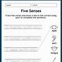 Five Senses Worksheet First Grade