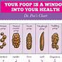 Choose Your Poo Chart