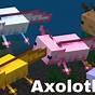 Rarest Axolotl Color In Minecraft