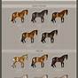 Horse Breeding Color Chart