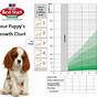 Golden Retriever Puppy Weight Chart