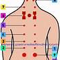Acupressure Points Chart For Pain