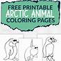 Printable Arctic Animal Crafts