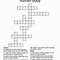 Human Body Crossword Puzzle Worksheet