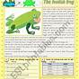 Grade 5 The Lazy Frog Worksheet