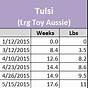Toy Aussie Size Chart