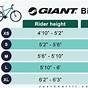 Giant Bike Size Chart Cm