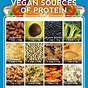 Vegetarian Protein Sources Pdf