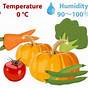 Humidity For Fruit And Vegetables