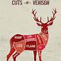 Venison Meat Cuts Chart