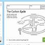 The Carbon Cycle Worksheets Answers