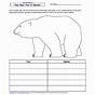 Polar Bear Worksheets Pdf