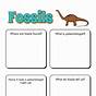 Fossil Worksheets