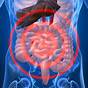 Diseases Of The Digestive System