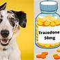 Trazodone Dose For Dogs Chart