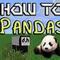 Tame Panda Minecraft