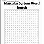 Muscle Word Search