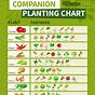 Fruit Tree Companion Planting Chart