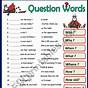 Wh Questions Worksheets