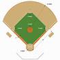 Editable Softball Field Diagram