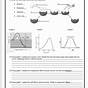 Enzyme Graphing Worksheet Answers