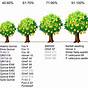 Fruit Tree Size Chart