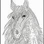 Printable Coloring Pages Of Horses