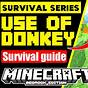 How To Get A Donkey In Minecraft