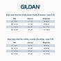 Gildan Heavy Cotton T-shirt Size Chart
