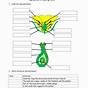 Flower Structure And Reproduction Worksheets Answer Key