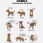 Hand Signals For Dog Training Chart