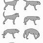 Dog Tail Position Chart