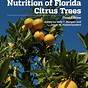 Florida Citrus Season Chart