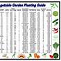 Georgia Vegetable Garden Planting Schedule