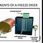 Freeze Drying Guide Pdf