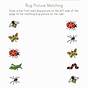Insects Worksheets For Preschoolers