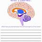What's In Your Brain Worksheet