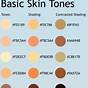 Skin Tone Chart Art