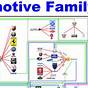 Car Family Tree Diagram
