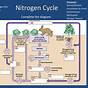 Energy Level Diagram Of Nitrogen