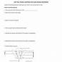 Flower Structure And Reproduction Worksheets Answers Key