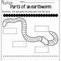 Earthworm Worksheet Kindergarten