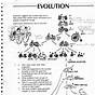 Evolution And Natural Selection Worksheets