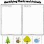Kindergarten Science Worksheet Animals
