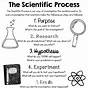 Scientific Method For 2nd Graders