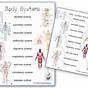 Worksheets On Body Systems