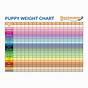 Weight Chart For Lab Puppies