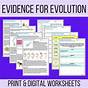 Evolution Reading Worksheet