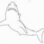 Sharks Coloring Pages Printable